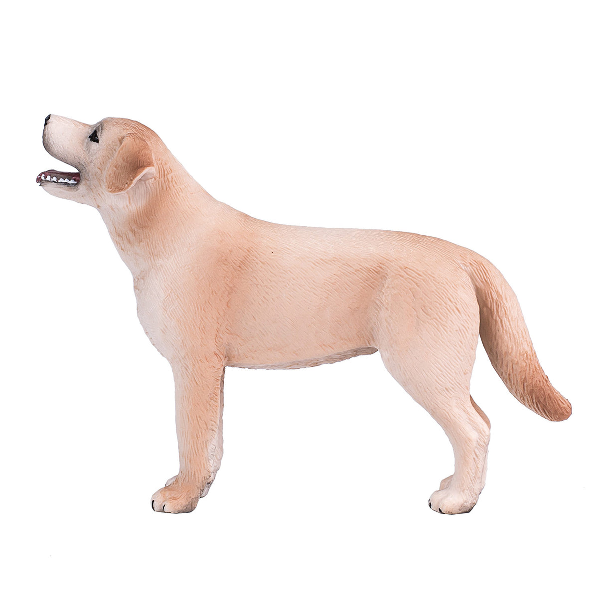 Mojo landbrugsjord labrador - 387271