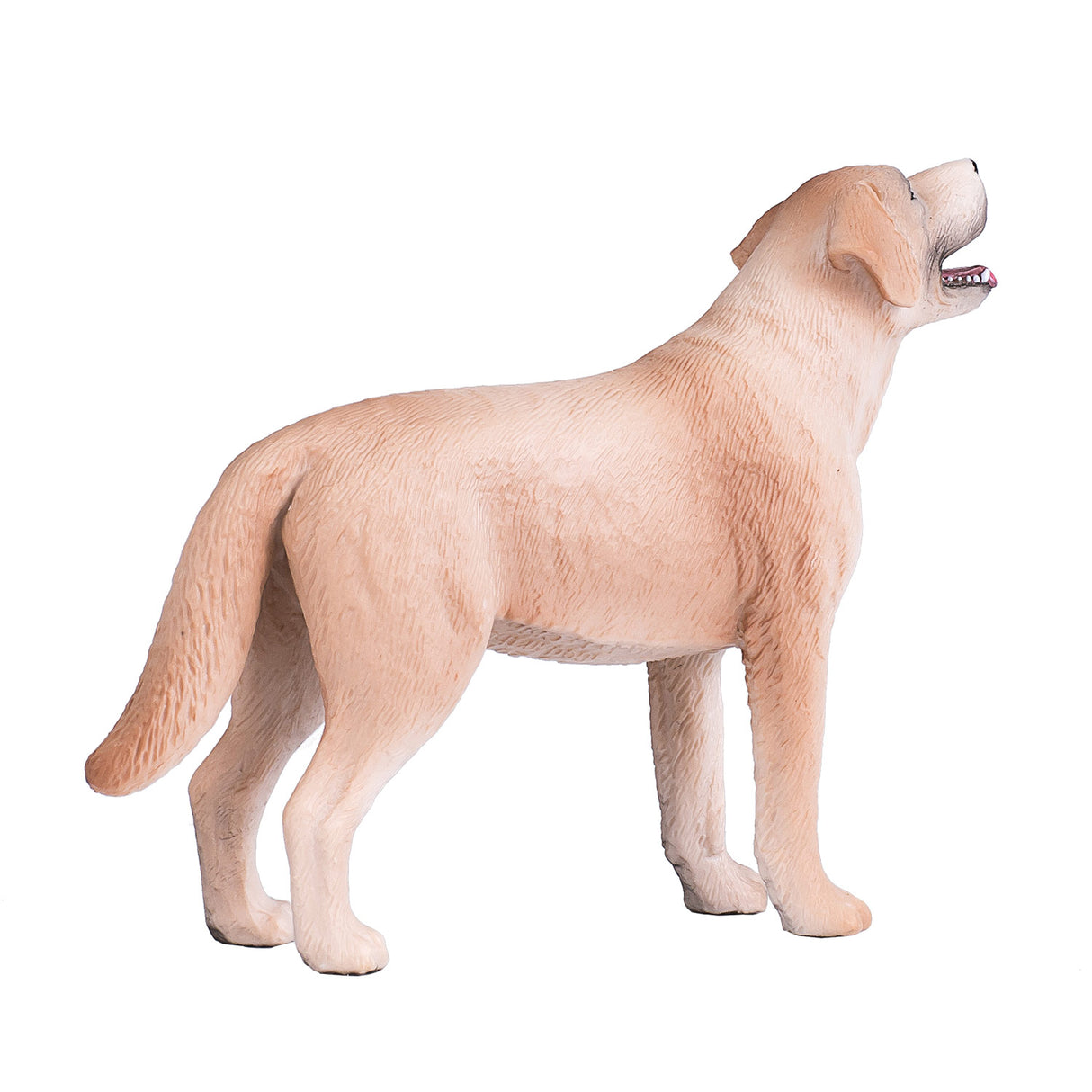Mojo landbrugsjord labrador - 387271
