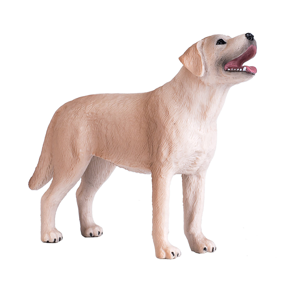 Mojo landbrugsjord labrador - 387271