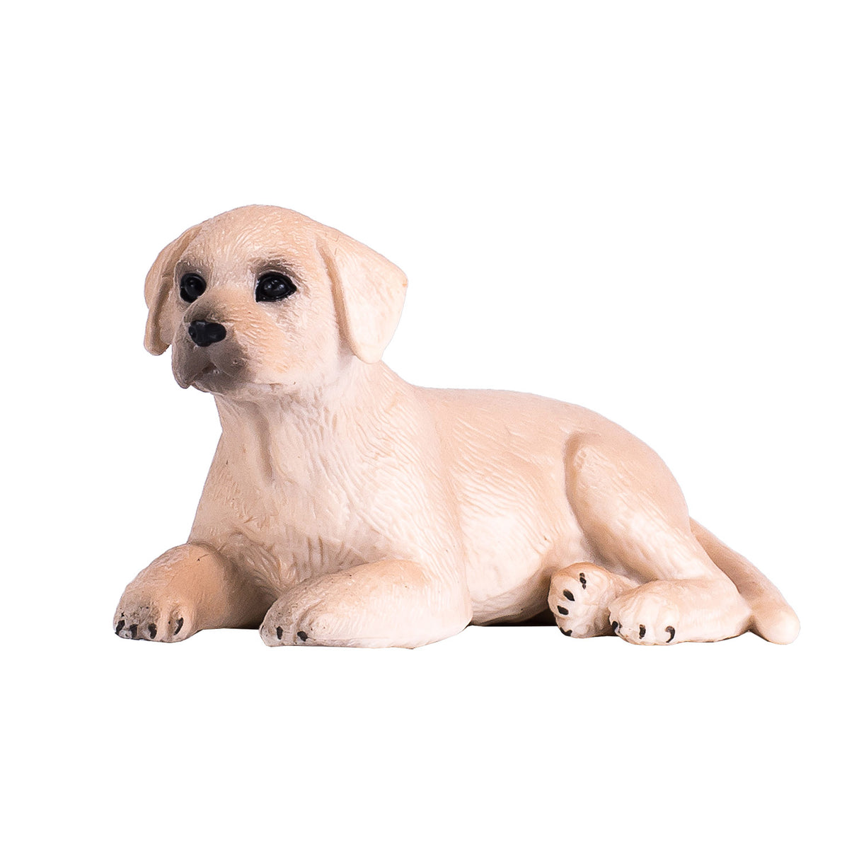 Mojo landbrugsland labrador hvalp - 387272