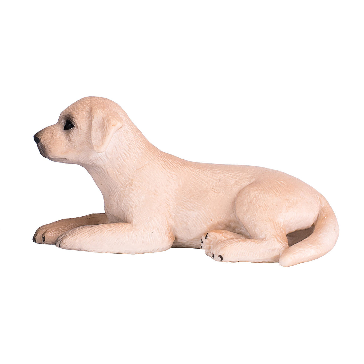 Mojo landbrugsland labrador hvalp - 387272
