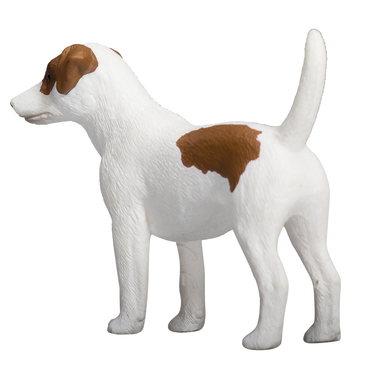 Mojo farmland jack russell terrier - 387286
