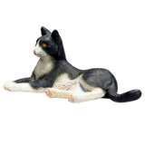 Mojo landbrugsjord liggende kat sort og hvid - 387367