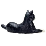 Mojo landbrugsjord liggende kat sort og hvid - 387367