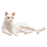 Mojo landbrugsjord liggende kat hvid - 387368