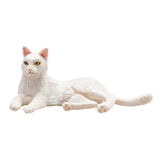 Mojo landbrugsjord liggende kat hvid - 387368