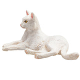 Mojo landbrugsjord liggende kat hvid - 387368