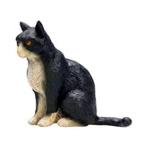 Mojo landbrugsjord siddende kat sort og hvid - 387371