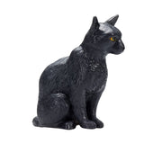 Mojo landbrugsjord siddende kat sort - 387372