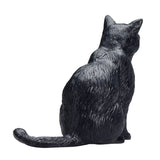 Mojo landbrugsjord siddende kat sort - 387372