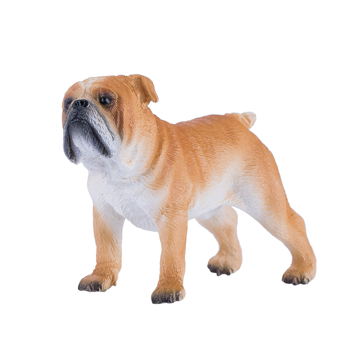 Mojo landbrugsjord engelsk bulldog - 381053