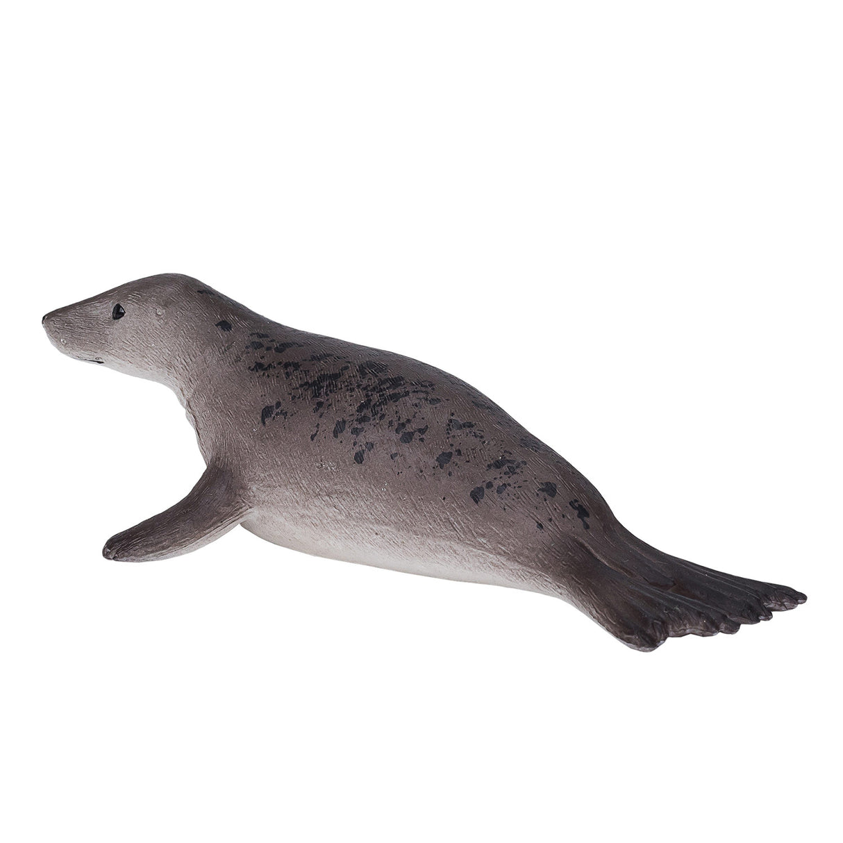 Mojo landbrugsjord gråsæl - 387091