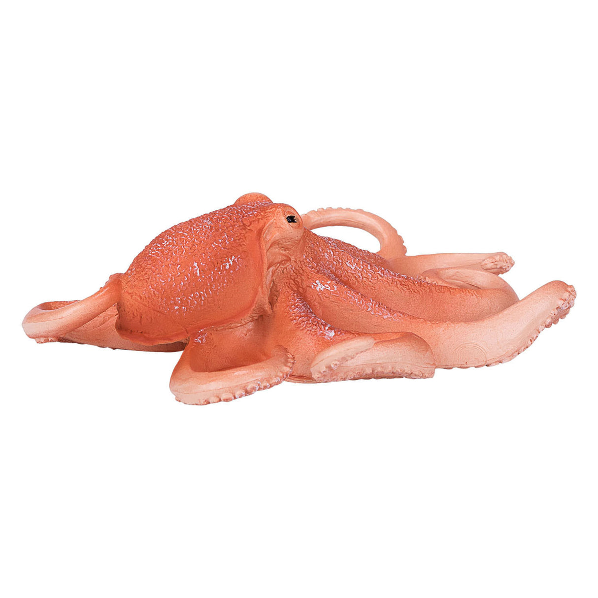 Mojo sealife blæksprutte 387275