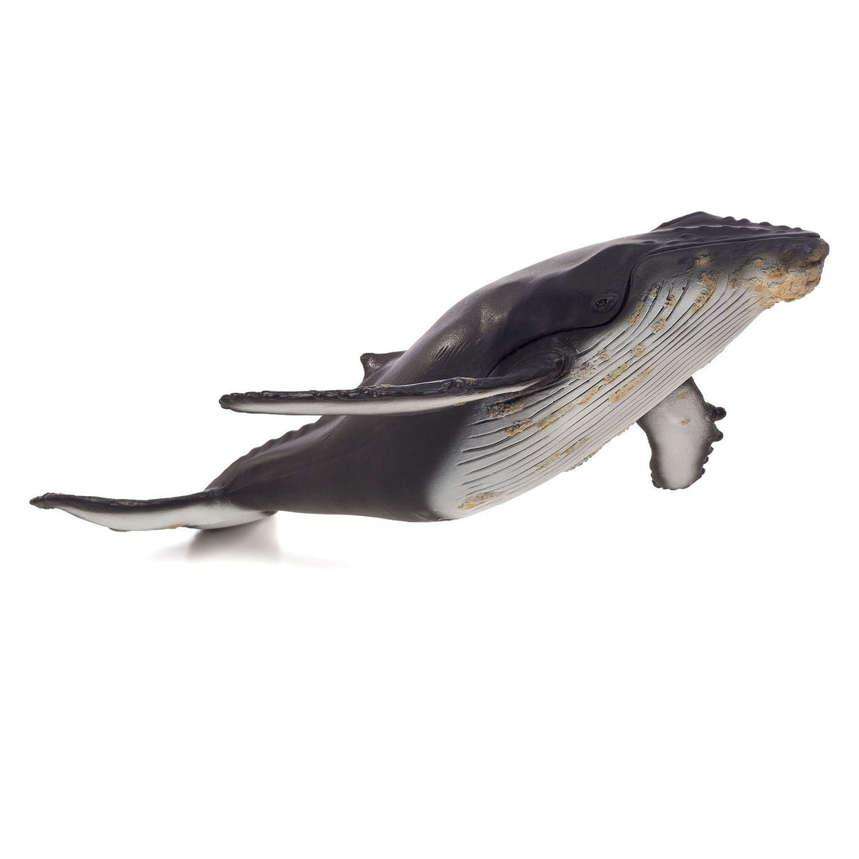 Mojo Sealife Bultrugwalvis Stor 387277