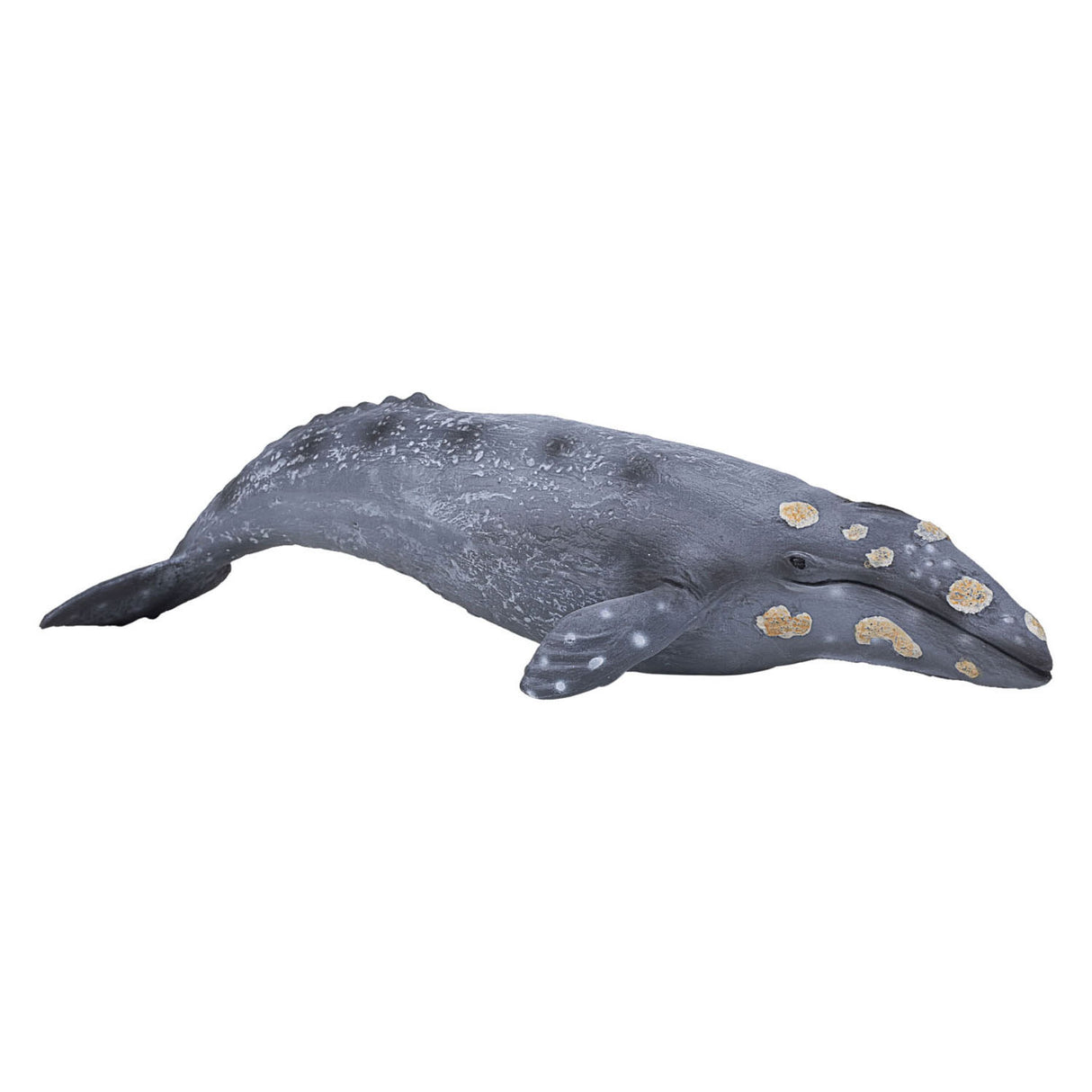 Mojo sealife - gråhval 387280