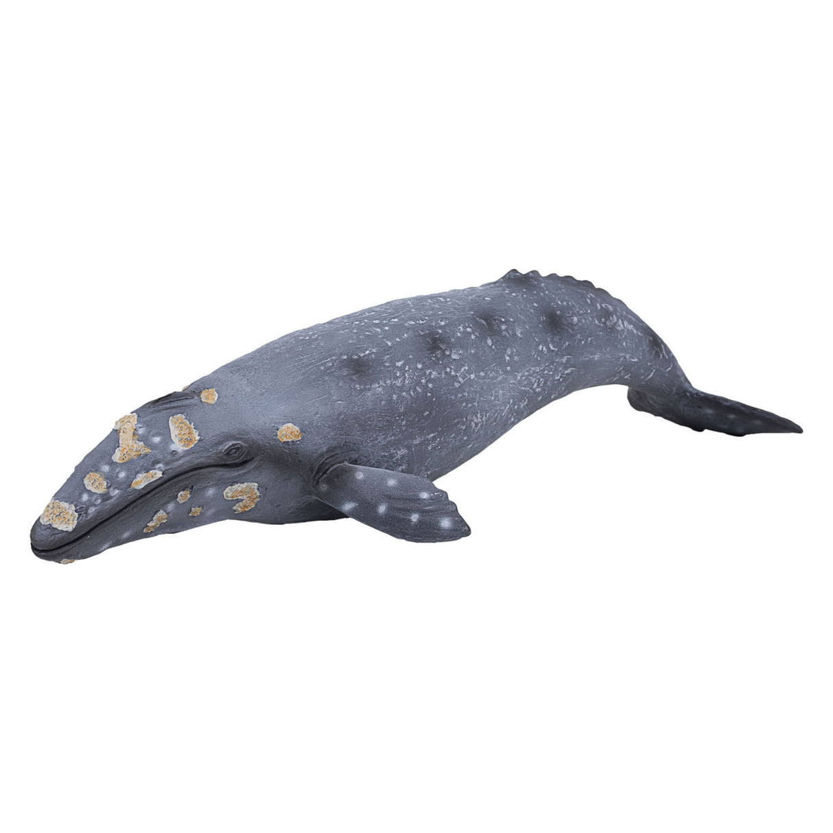 Mojo sealife - gråhval 387280