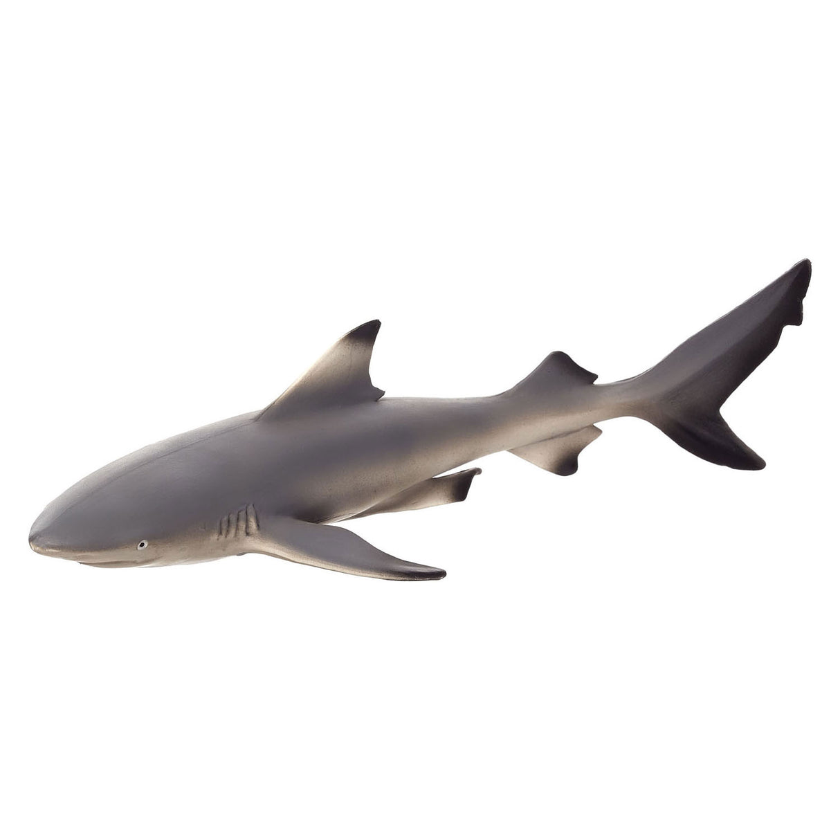 Mojo sealife sort spids revhaj 387357