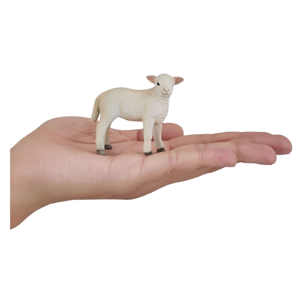 Mojo landbrugsjord Romney Lamb Standing - 381065