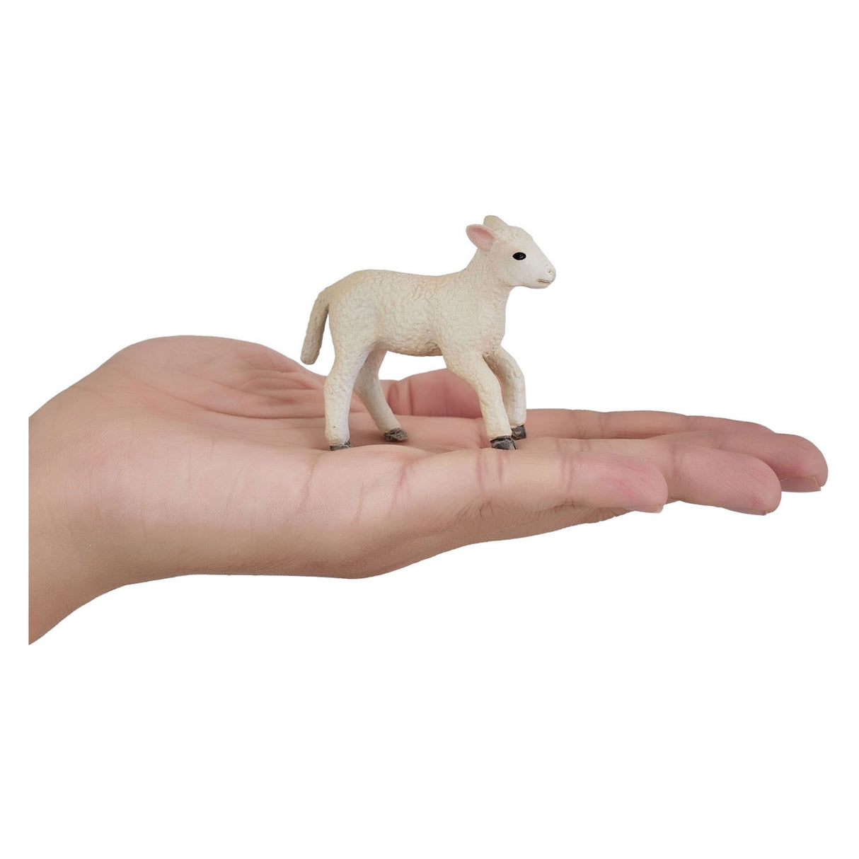 Mojo landbrugsjord Romney Lamb Running - 381066