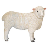 Mojo landbrugsjord Romney Schaap Ooi - 381064