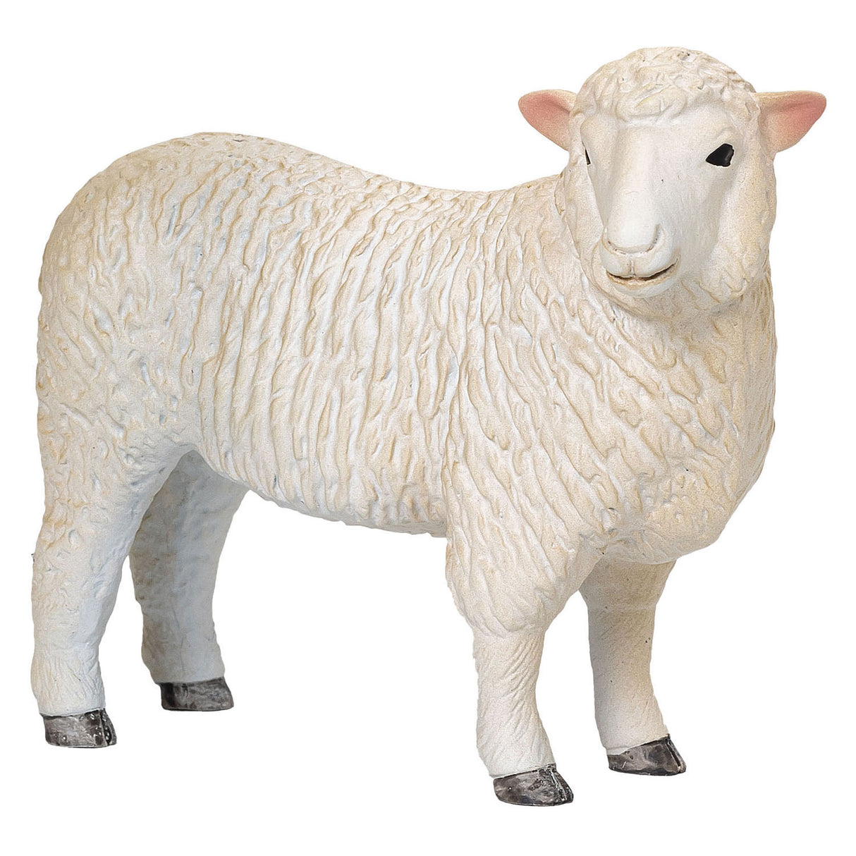 Mojo landbrugsjord Romney Schaap Ooi - 381064