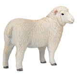 Mojo landbrugsjord Romney Schaap Ooi - 381064