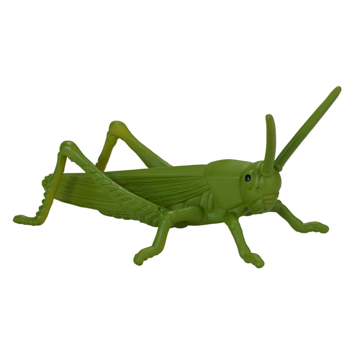 Mojo Wildlife Mini Insekter og edderkopper, 12dlg. - 380058
