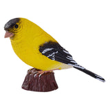 Mojo landbrugsjord amerikansk bullfinch - 381111