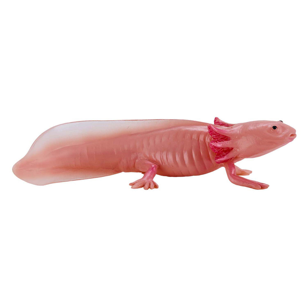 Mojo dyreliv axolotl 381108