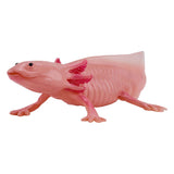 Mojo dyreliv axolotl 381108