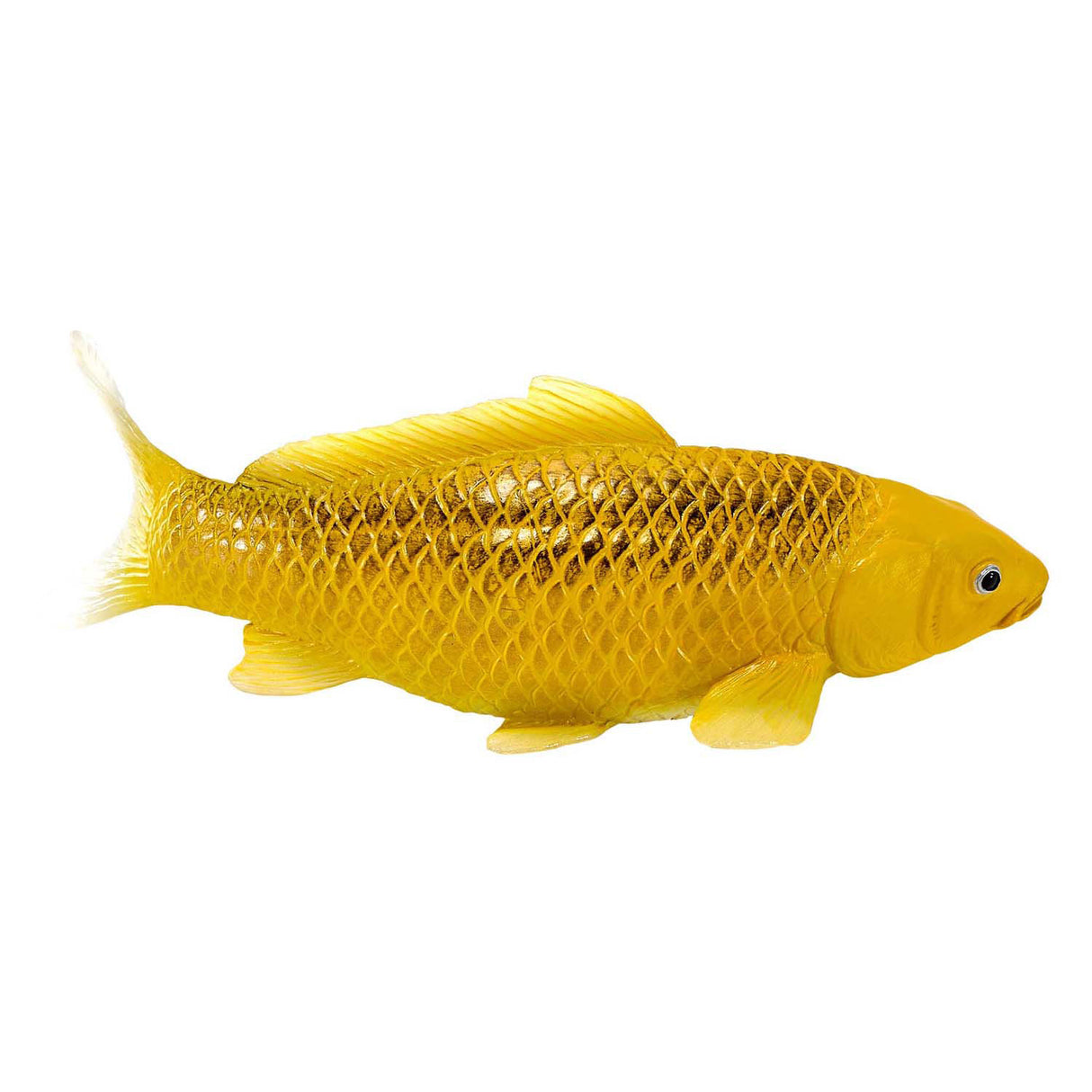 Mojo sealife koi karper - chin matsuba koi - 381105