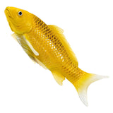 Mojo sealife koi karper - chin matsuba koi - 381105