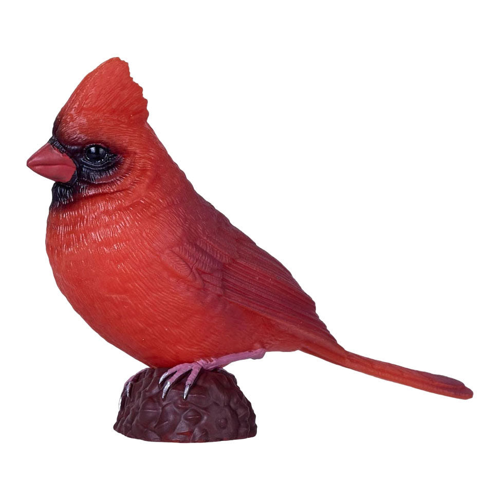 Mojo havefugle rød kardinal 381131