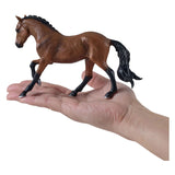 Mojo hanoveraan - 381157