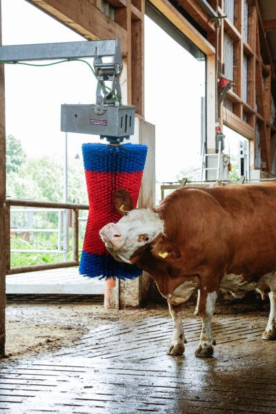 Produkter happycow ko børste maxiswing