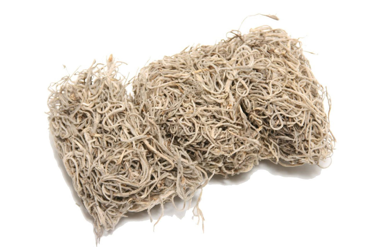 HBx naturlig levende mos tillandsia 80gr natur