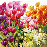 Ambiente serviet 25cm tulipaner 20 stk
