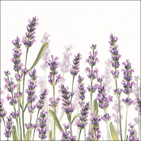 Ambiente servietter lavendel nuancer hvid 25x25cm