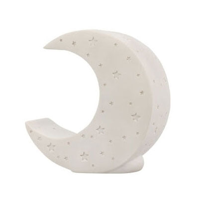 Moon Night