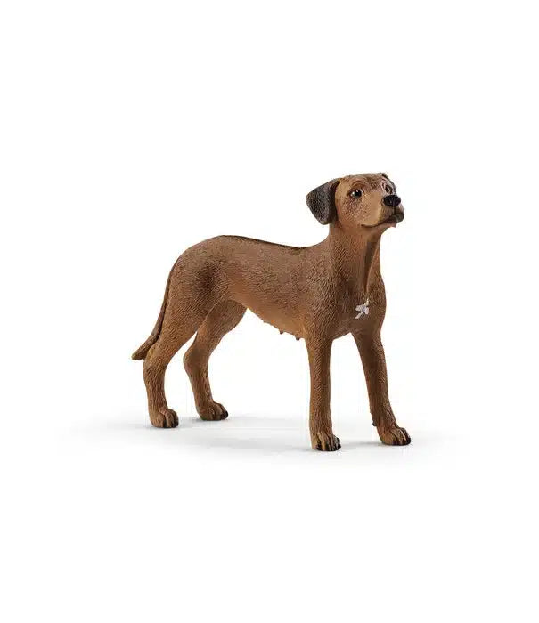 Schleich hund rhodesian ridgeback 13895