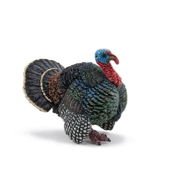 Schleich turkey. 3+