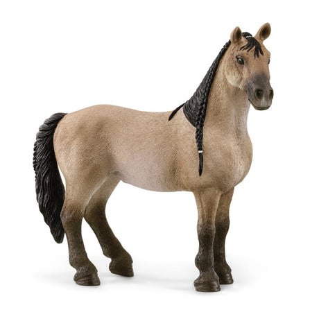 Schleich hesteklub - criollo definitivo mare - legefigur - børnelegetøj til drenge og piger - 5 til 12 år - 13948