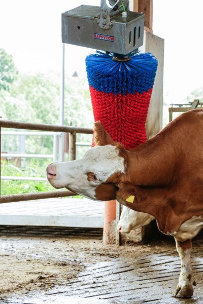 Produkter happycow ko børste maxiswing