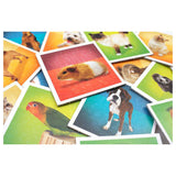 Taktisk memo kæledyr - memo spil - find de rigtige par - hunde, katte, kaniner og andre kæledyr - brætspil for børn og familier - 2 til 6 spillere - fra 3 år
