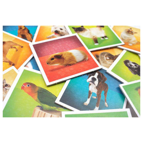 Taktisk memo kæledyr - memo spil - find de rigtige par - hunde, katte, kaniner og andre kæledyr - brætspil for børn og familier - 2 til 6 spillere - fra 3 år