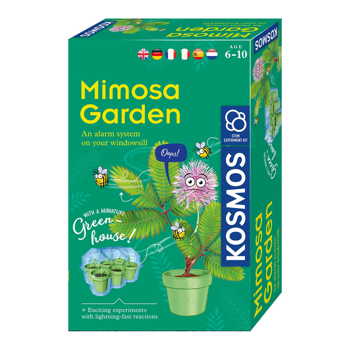 Dyrkning af Cosmos Mimosa-planter