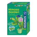Dyrkning af Cosmos Mimosa-planter