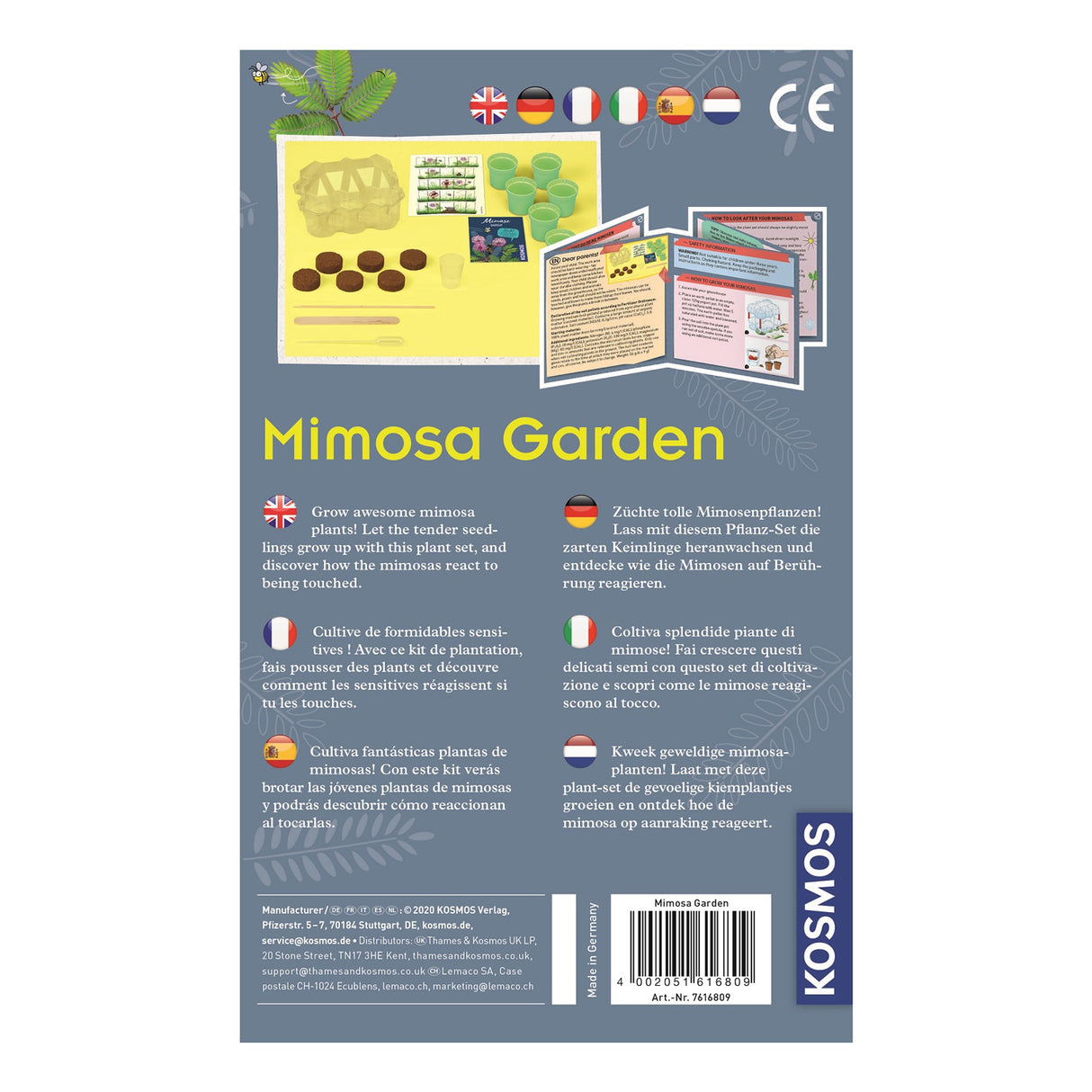 Dyrkning af Cosmos Mimosa-planter