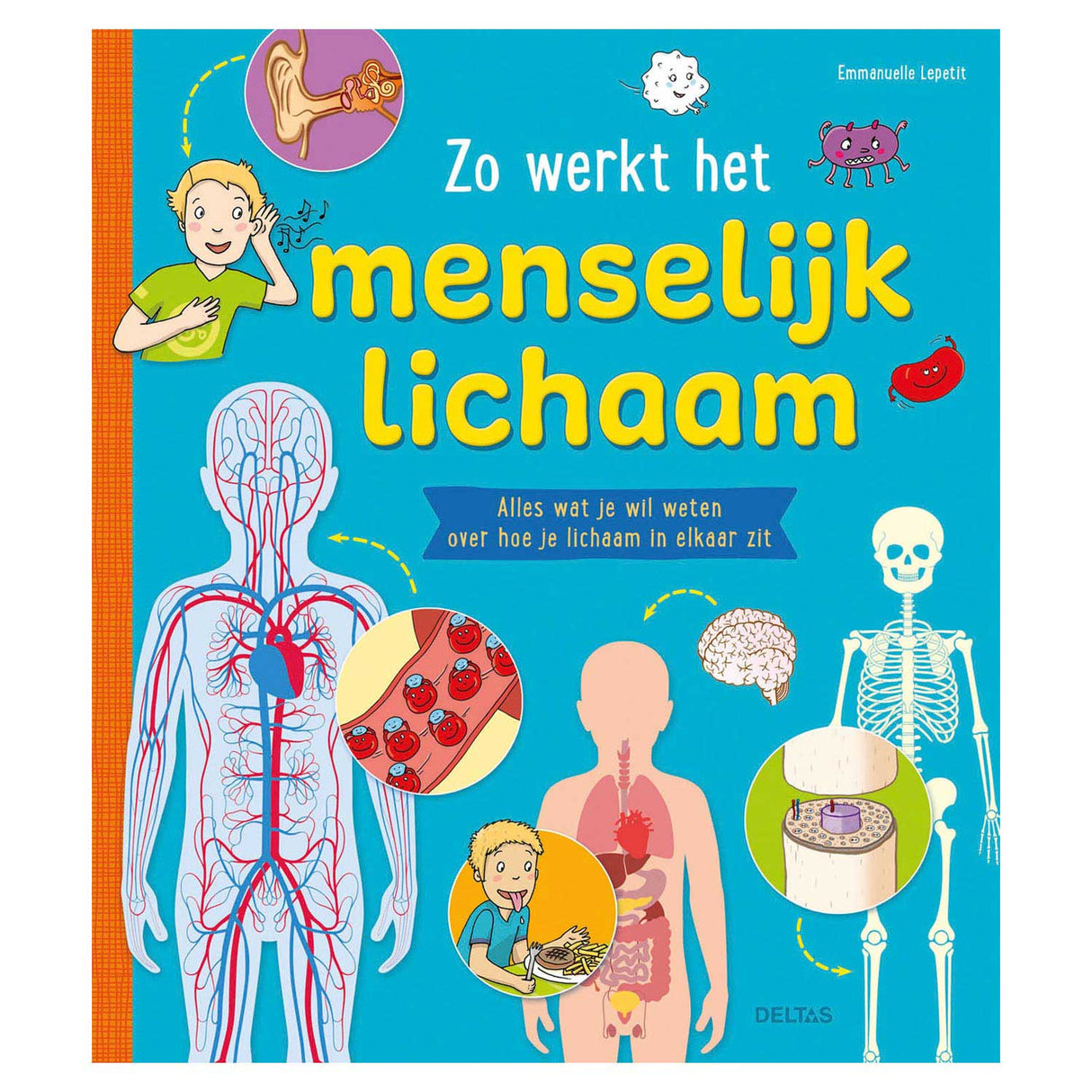 Deltas er, hvordan den menneskelige krop fungerer