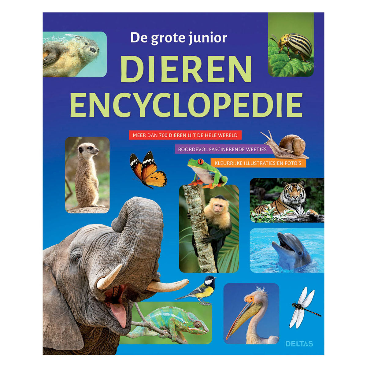 Deltas the big animal encyclopedia